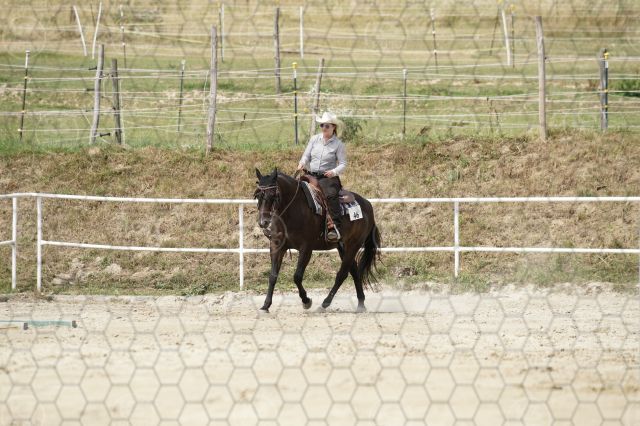s_K3F06942.JPG
